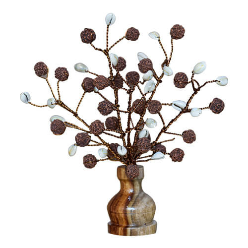 Rudraksha Tree (54 Beads Natural And Kaudi)