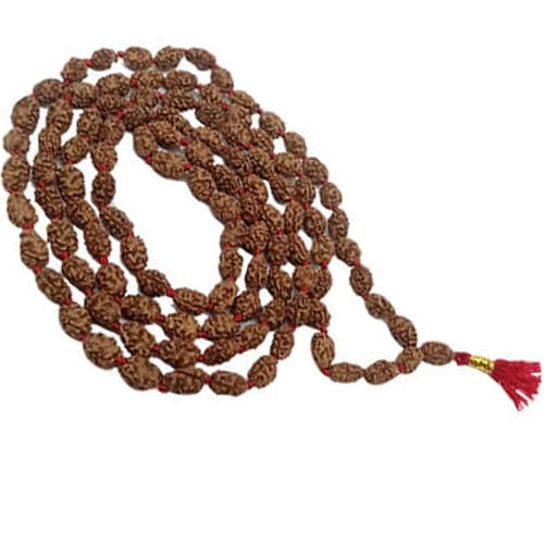 Do Mukhi Rudraksha Mala (108 Beads)