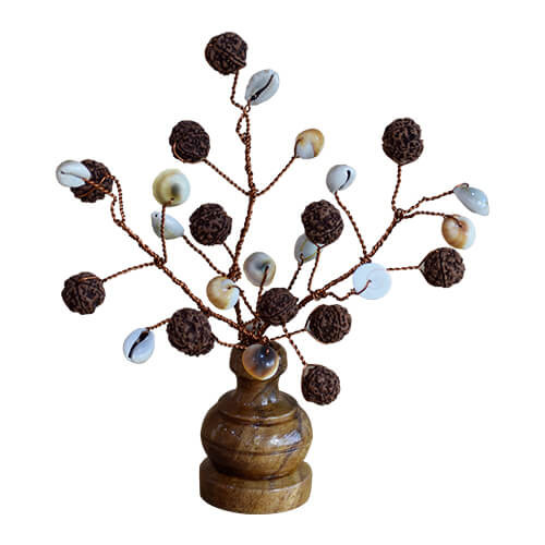 Rudraksha Tree (27 Beads, Natural, Kaudi, Gomati Chakra)