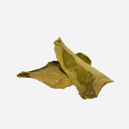 Bharangi Root / Bharangi Ki Jad