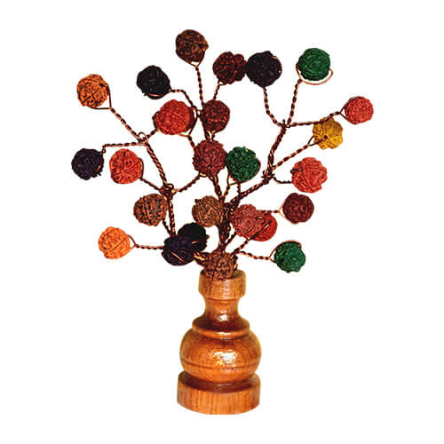 Rudraksha Tree (27 Beads Multicolor)